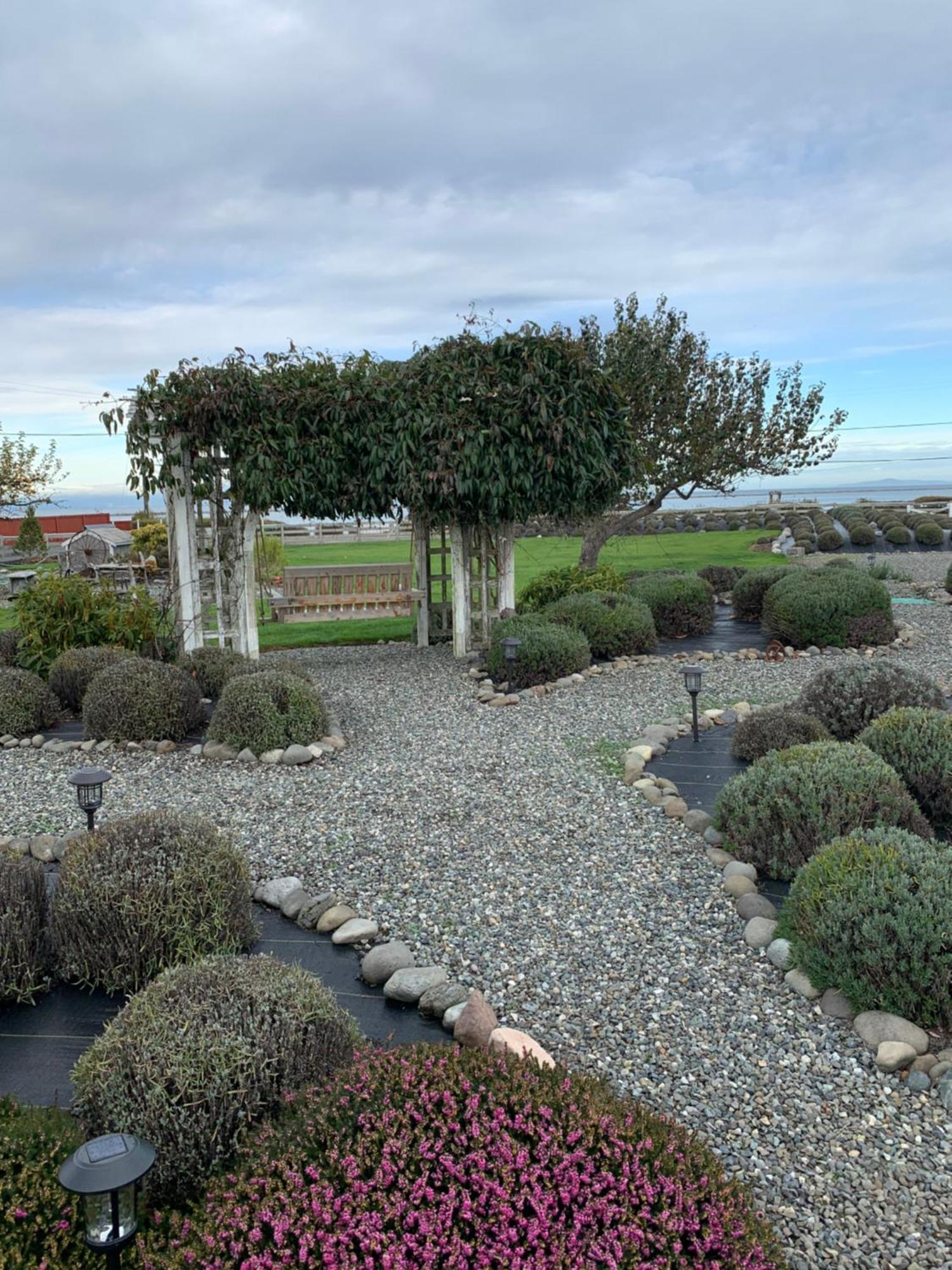 Dungeness Barn House Bed And Breakfast At Two Crows Farm スクイム エクステリア 写真