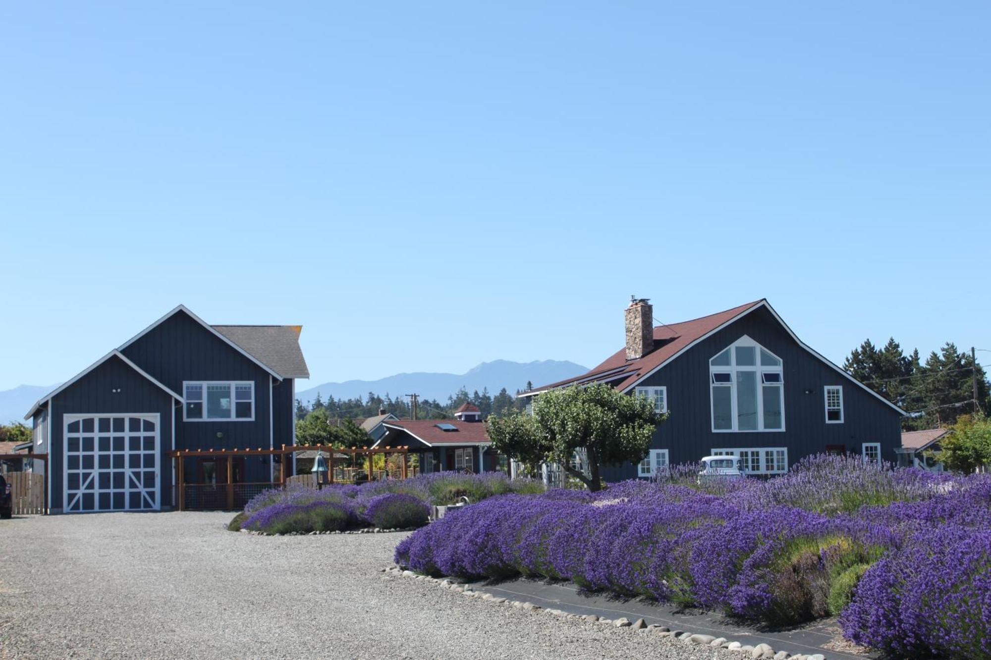 Dungeness Barn House Bed And Breakfast At Two Crows Farm スクイム エクステリア 写真