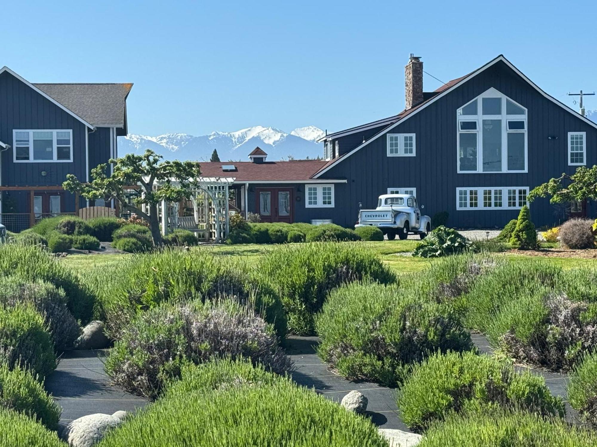 Dungeness Barn House Bed And Breakfast At Two Crows Farm スクイム エクステリア 写真