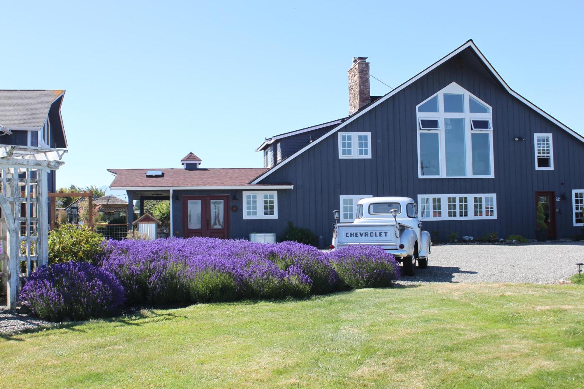 Dungeness Barn House Bed And Breakfast At Two Crows Farm スクイム エクステリア 写真