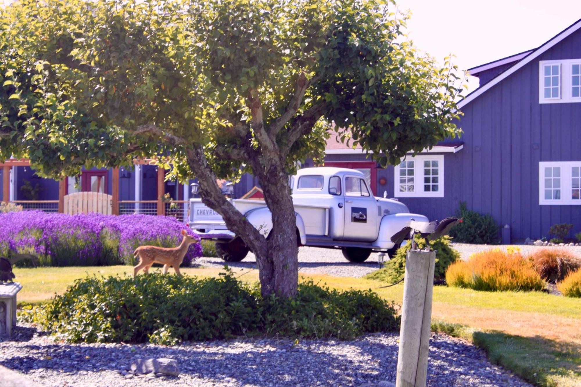 Dungeness Barn House Bed And Breakfast At Two Crows Farm スクイム エクステリア 写真