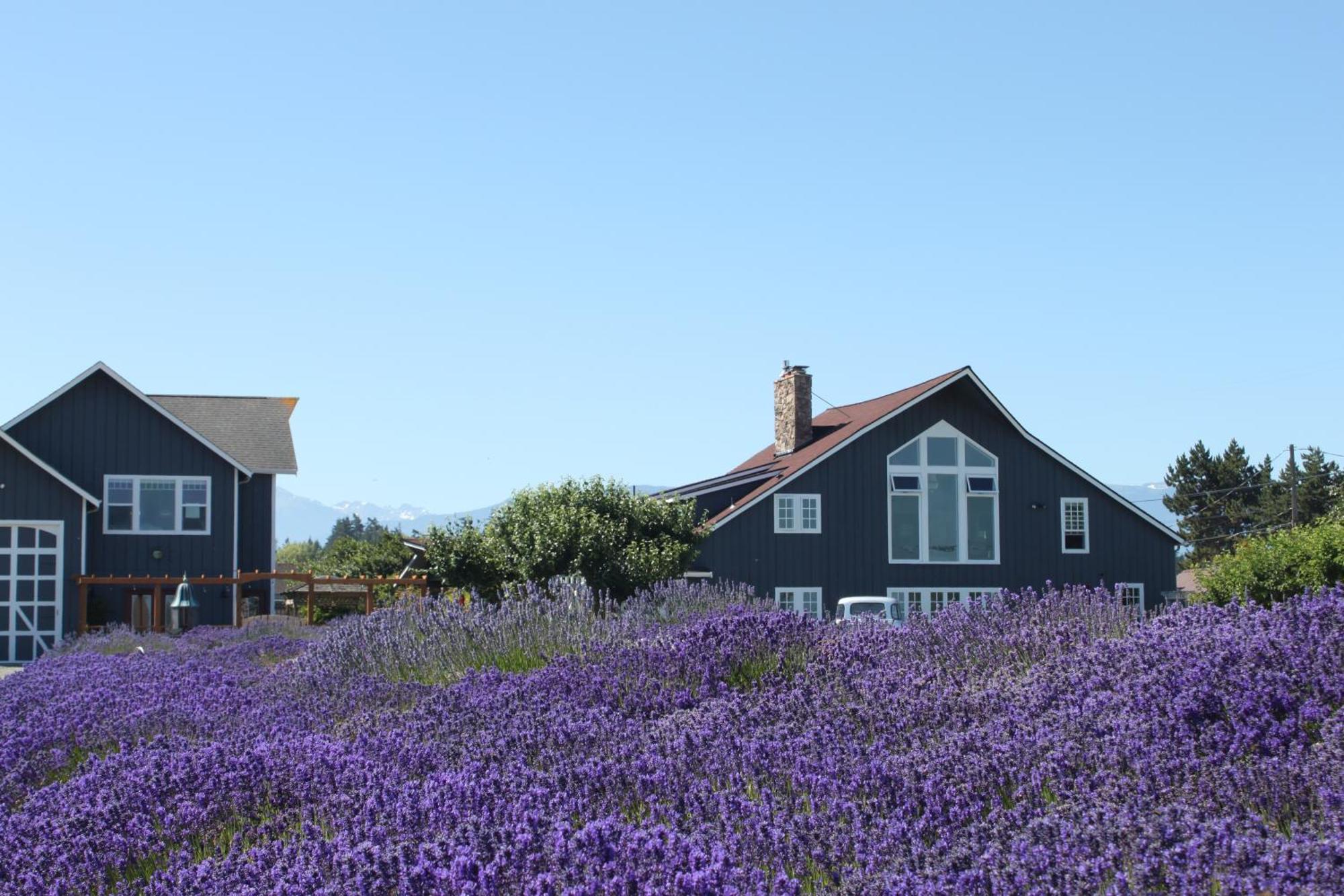 Dungeness Barn House Bed And Breakfast At Two Crows Farm スクイム エクステリア 写真