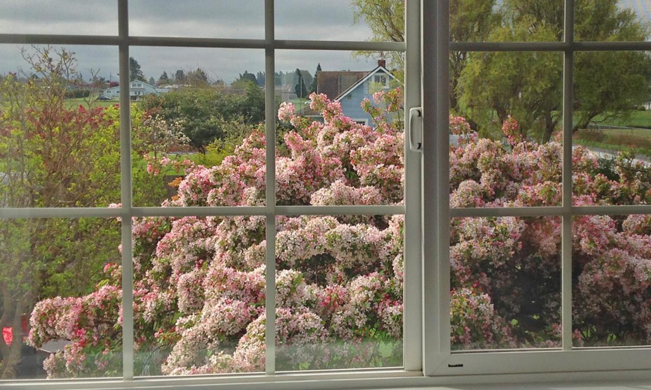 Dungeness Barn House Bed And Breakfast At Two Crows Farm スクイム エクステリア 写真