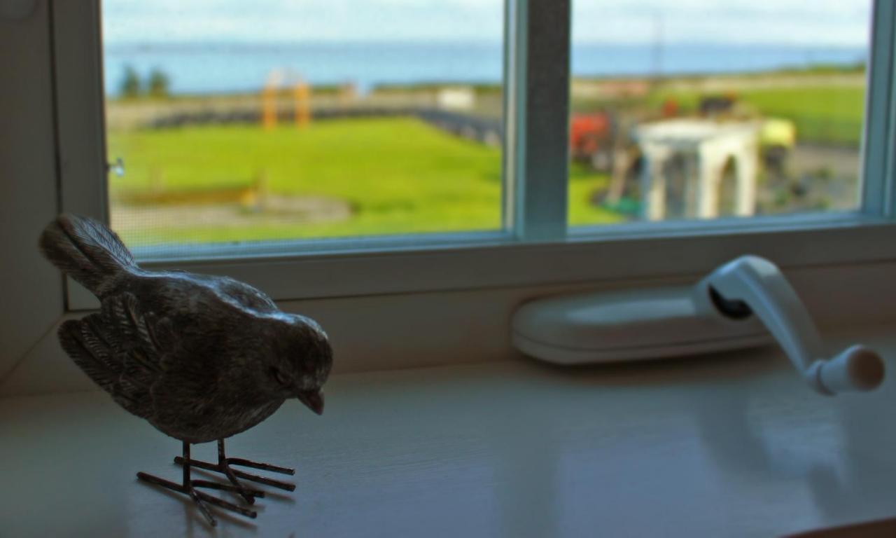 Dungeness Barn House Bed And Breakfast At Two Crows Farm スクイム エクステリア 写真